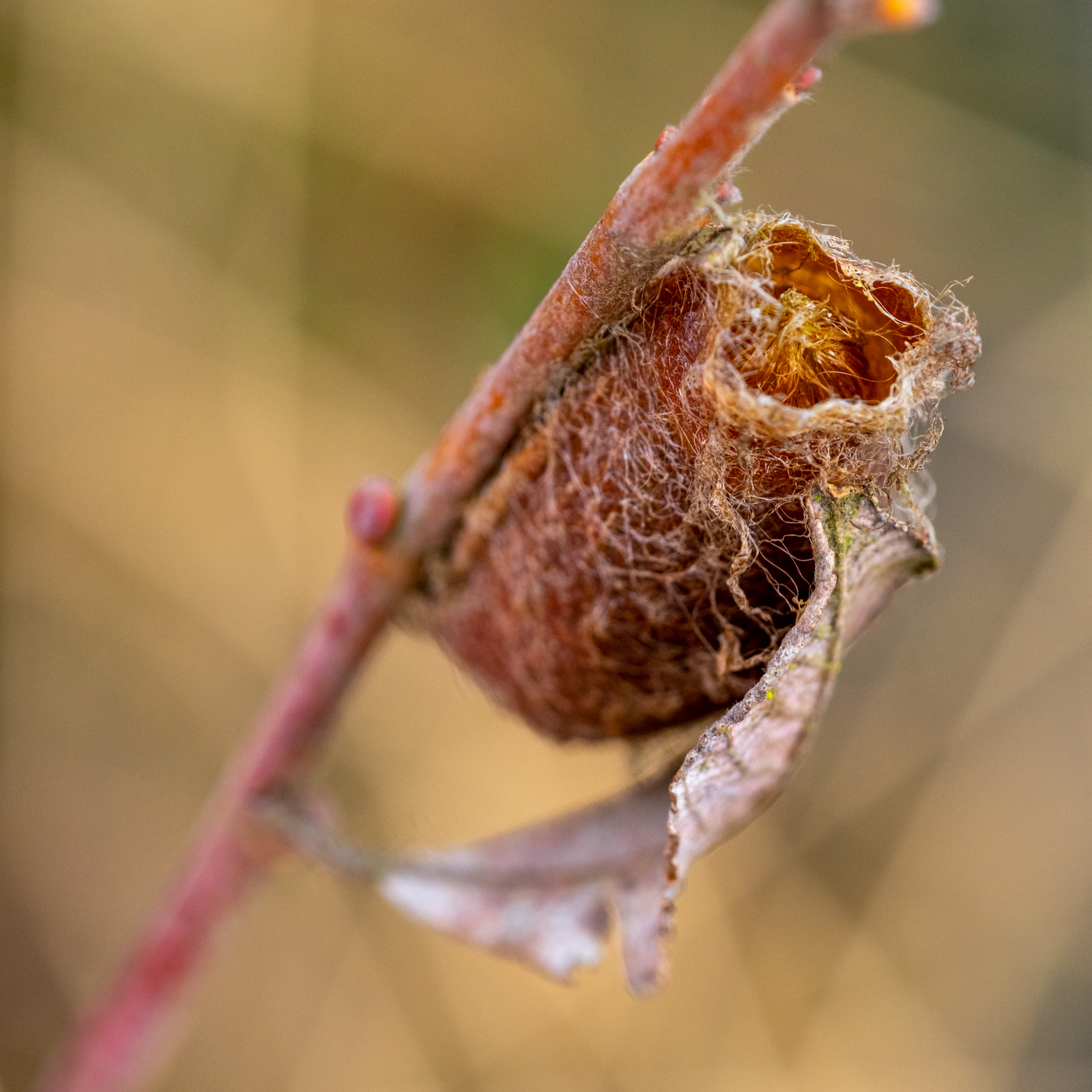 2023 03 18  xt 5   2697